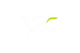 Vibe2Code